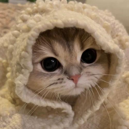 สมาชิกหมายเลข 7700257