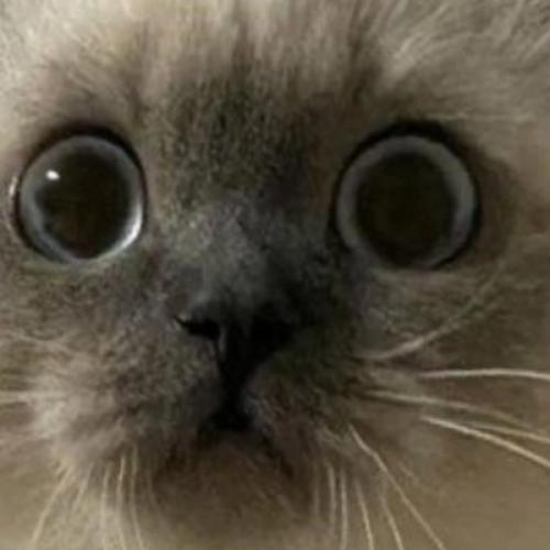 สมาชิกหมายเลข 7700822