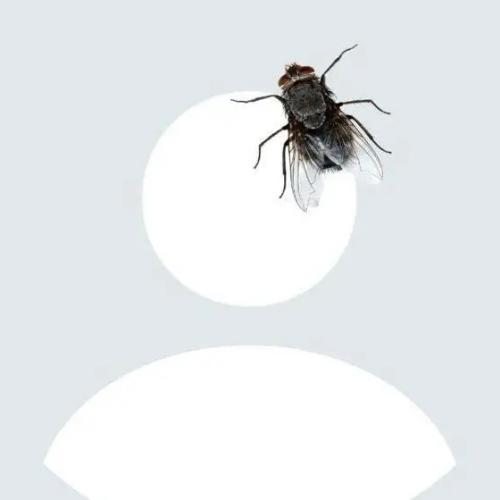 สมาชิกหมายเลข 5175563