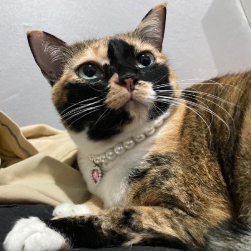 สมาชิกหมายเลข 8653369