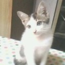 สมาชิกหมายเลข 3628827