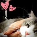 สมาชิกหมายเลข 2196505