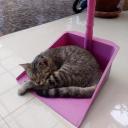 สวยห้าเมตร