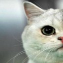 สมาชิกหมายเลข 3242695