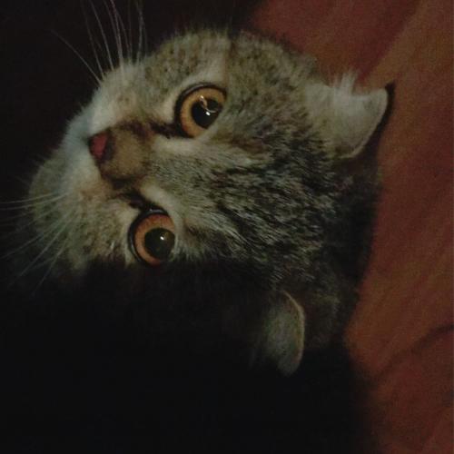 สมาชิกหมายเลข 4395854