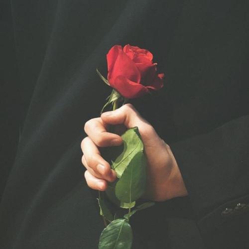 สมาชิกหมายเลข 5256982