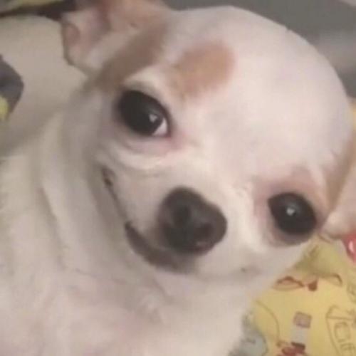 สมาชิกหมายเลข 5257470