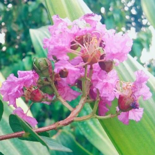 สมาชิกหมายเลข 5692312