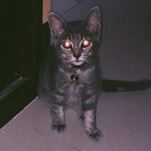 สมาชิกหมายเลข 5692600