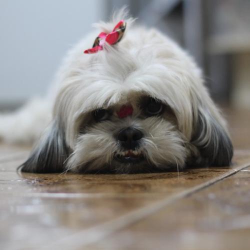 สมาชิกหมายเลข 5533641