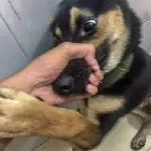 สมาชิกหมายเลข 6214856