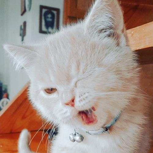 สมาชิกหมายเลข 6938613