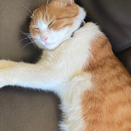 สมาชิกหมายเลข 7974866