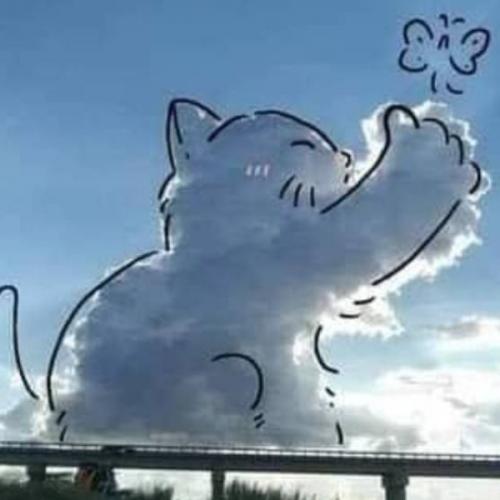 ทุกอย่างจะผ่านพ้นไปได้ด้วยดี