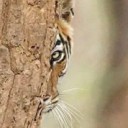 สมาชิกหมายเลข 1857460