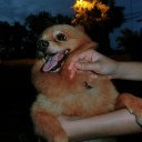 สมาชิกหมายเลข 4012501