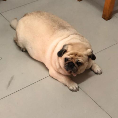 สมาชิกหมายเลข 4528469