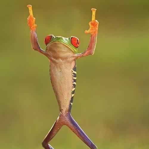 สมาชิกหมายเลข 4528533