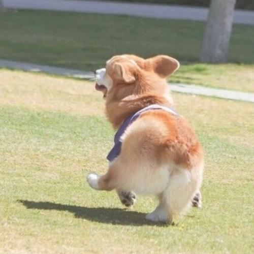 สมาชิกหมายเลข 4867229