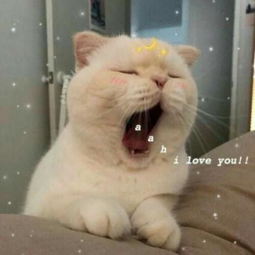 สมาชิกหมายเลข 5692580