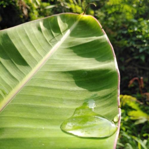 สมาชิกหมายเลข 5693055