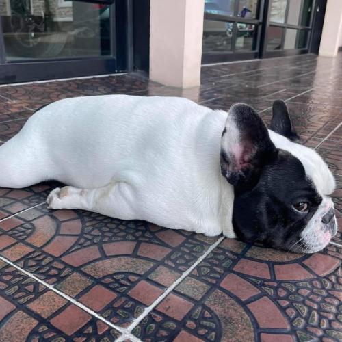 สมาชิกหมายเลข 6250566