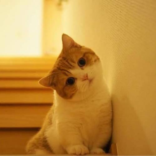 สมาชิกหมายเลข 6276852