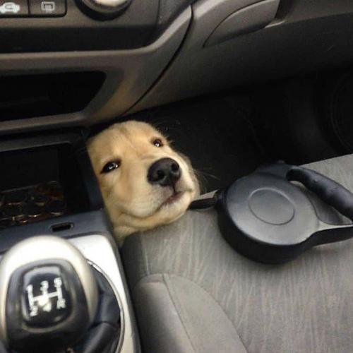 สมาชิกหมายเลข 6939556