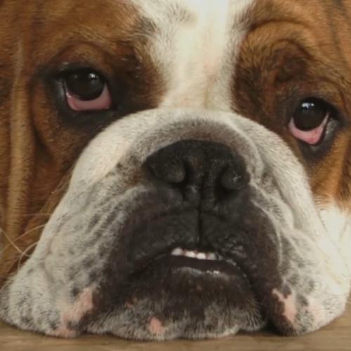 สมาชิกหมายเลข 6939603