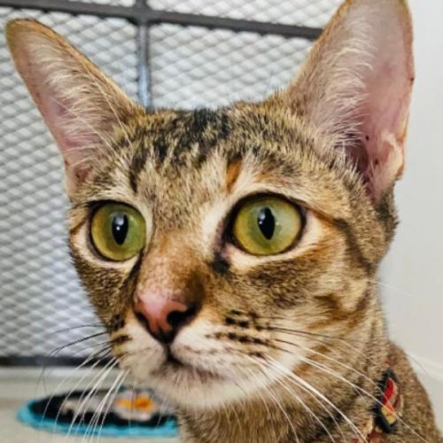 สมาชิกหมายเลข 6105082