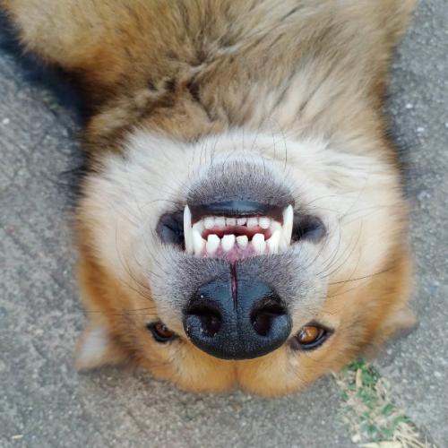 สมาชิกหมายเลข 7700085