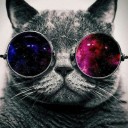 สมาชิกหมายเลข 3630184