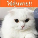 สมาชิกหมายเลข 1490171
