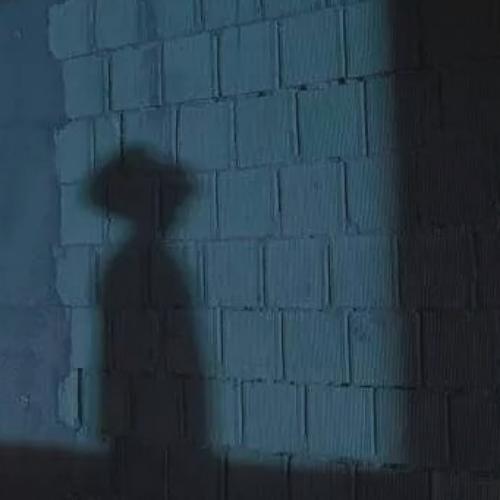 สมาชิกหมายเลข 4867392