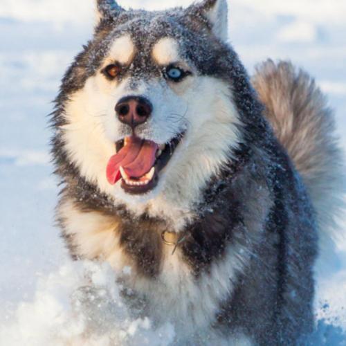 สมาชิกหมายเลข 4867494