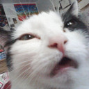 สมาชิกหมายเลข 5258001