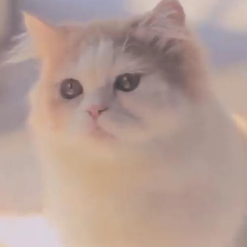 สมาชิกหมายเลข 5371158