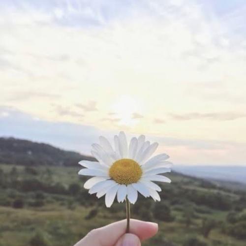 สมาชิกหมายเลข 5693351