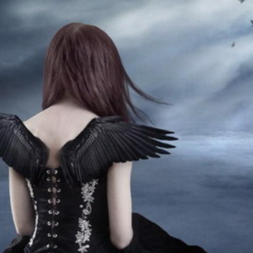 สมาชิกหมายเลข 5693550