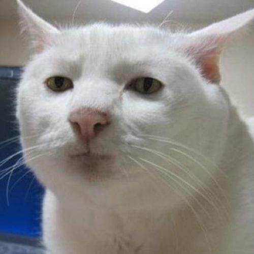 สมาชิกหมายเลข 5376732