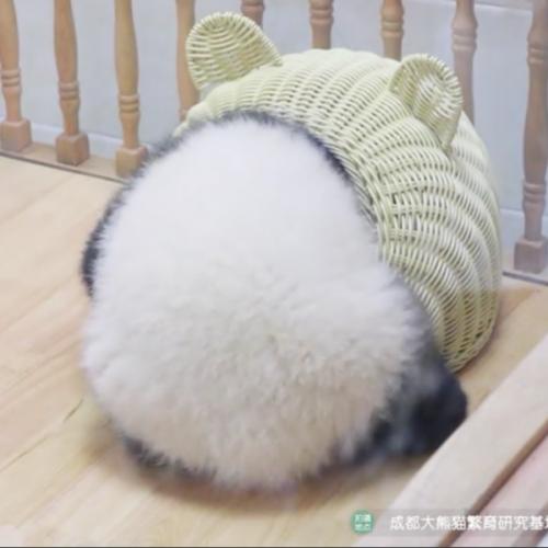 สมาชิกหมายเลข 6277666