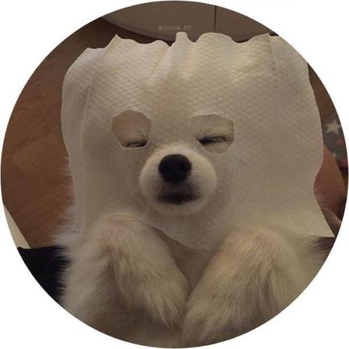 สมาชิกหมายเลข 7212229