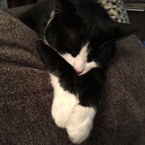 สมาชิกหมายเลข 7704421