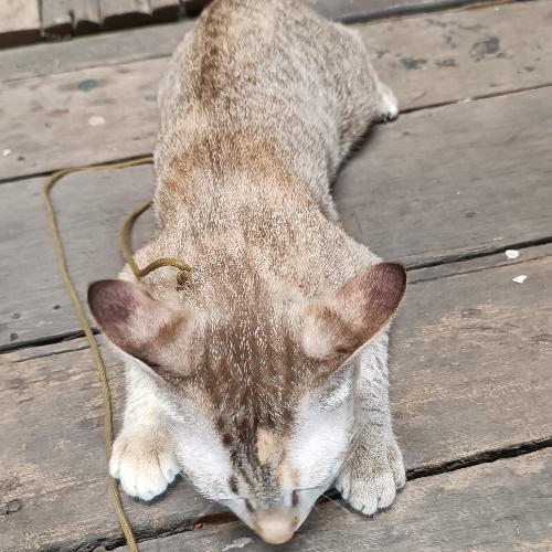 สมาชิกหมายเลข 3821235