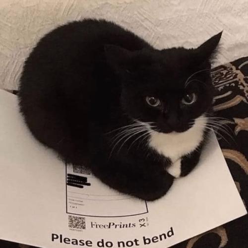 สมาชิกหมายเลข 8629247