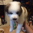 สมาชิกหมายเลข 2521515