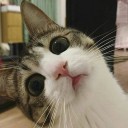 สมาชิกหมายเลข 4092966