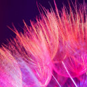 ห้อยหัว