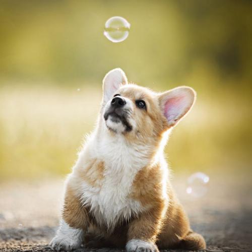 สมาชิกหมายเลข 4867791