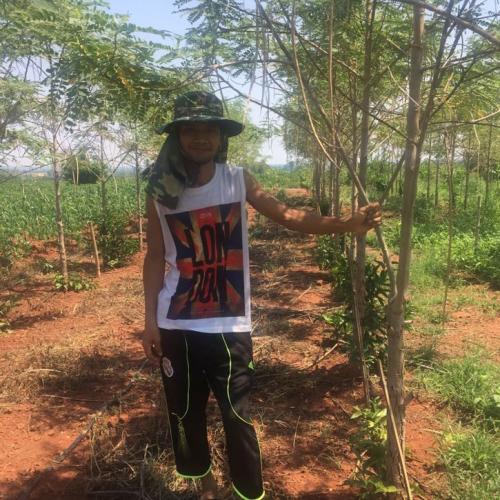 สมาชิกหมายเลข 3263586